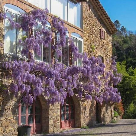 Chambre D'Hote Mas D'Alzon A St Jean Du Pin La Barriére Kültér fotó